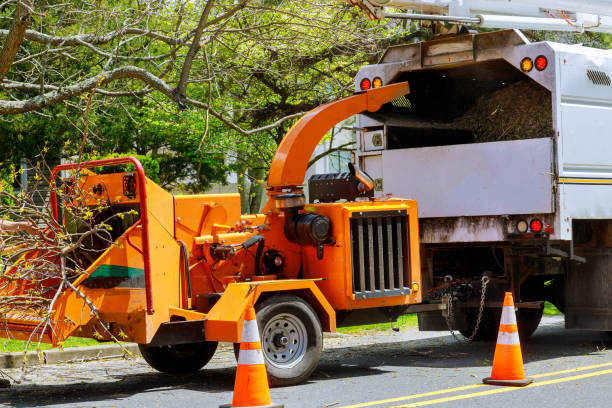 Mulching Services in Coal Valley, IL